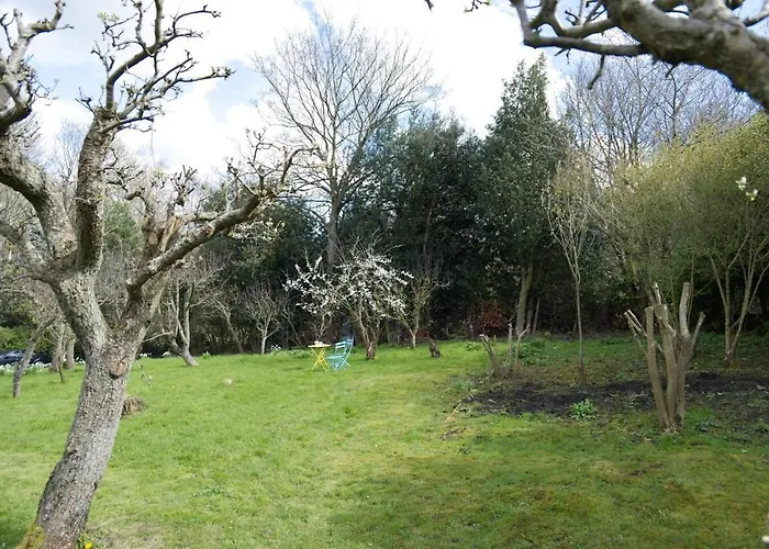 Cosy Secret Cottage In A Beautiful Walled Garden